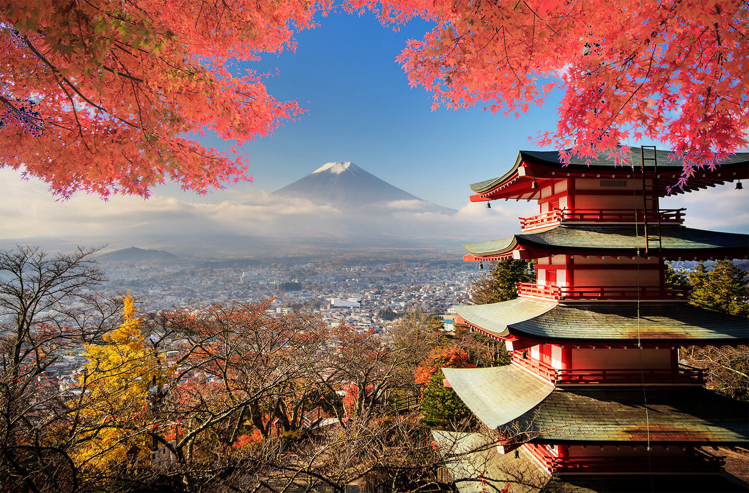 viajar: Cuándo se podrá viajar a Japón en 2021?
