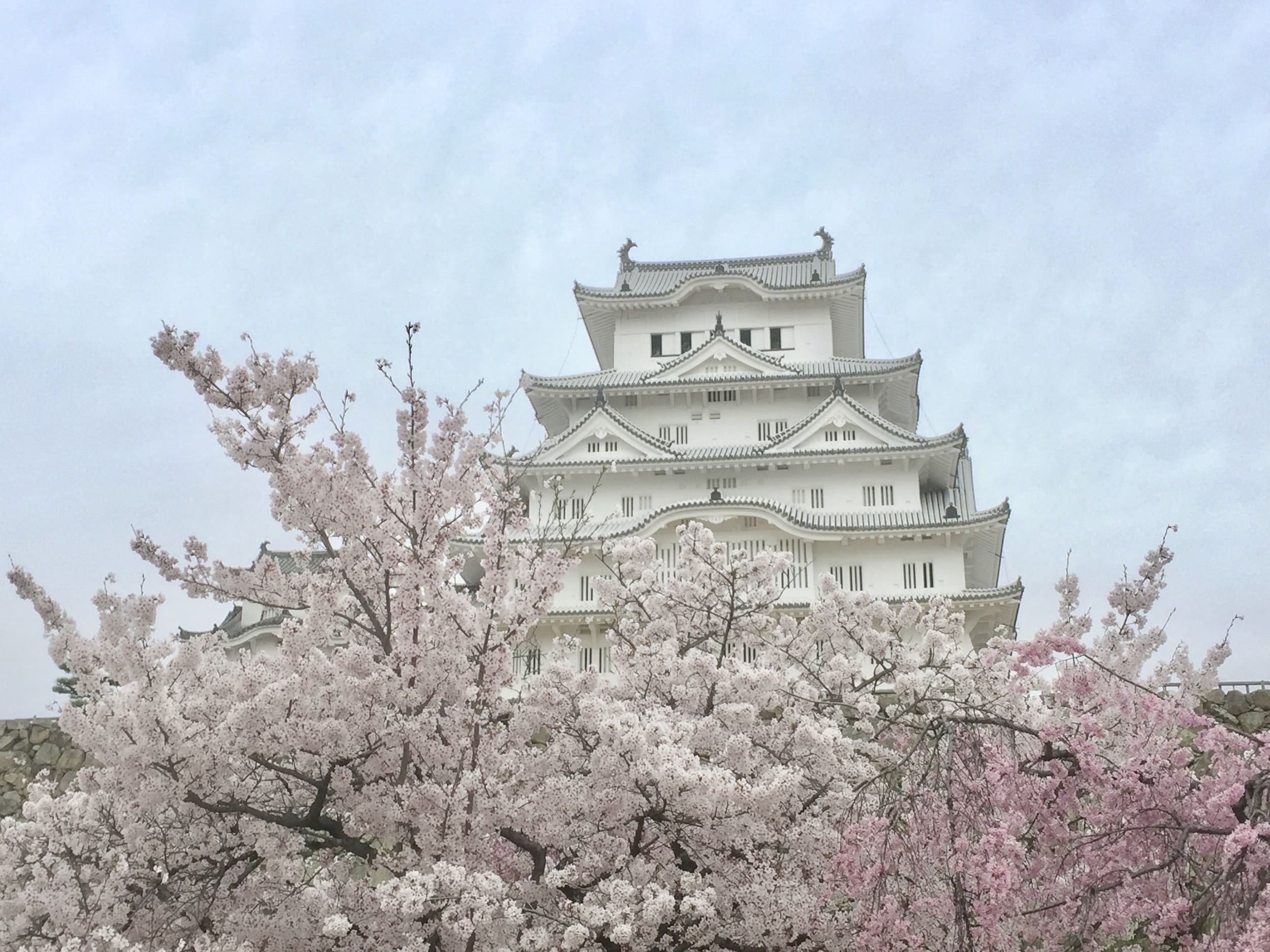 rutas: Excursión de un día a Himeji desde Osaka, Kyoto, Tokyo o Hiroshima