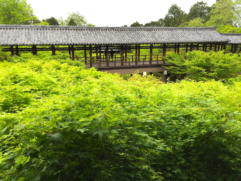 templos: Templo Tofukuji
