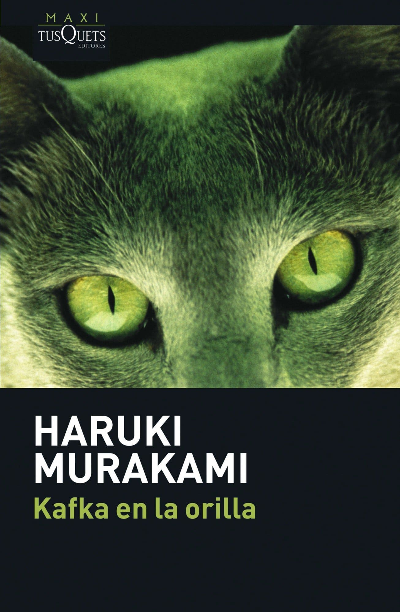 Kafka en la orilla de Haruki Murakami