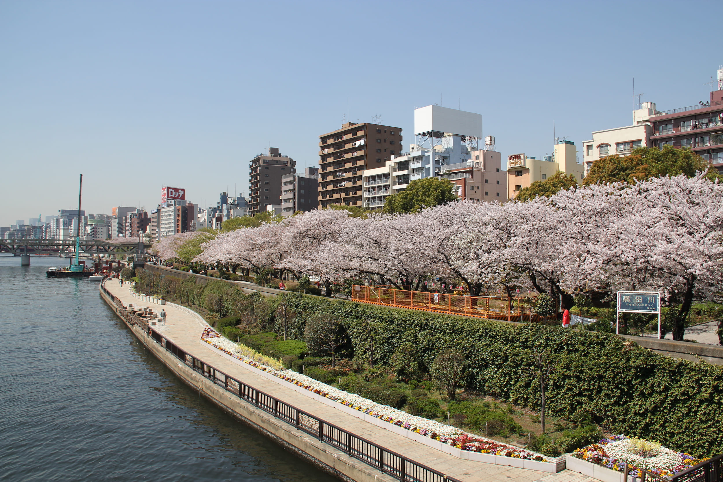 parques: Parque Sumida