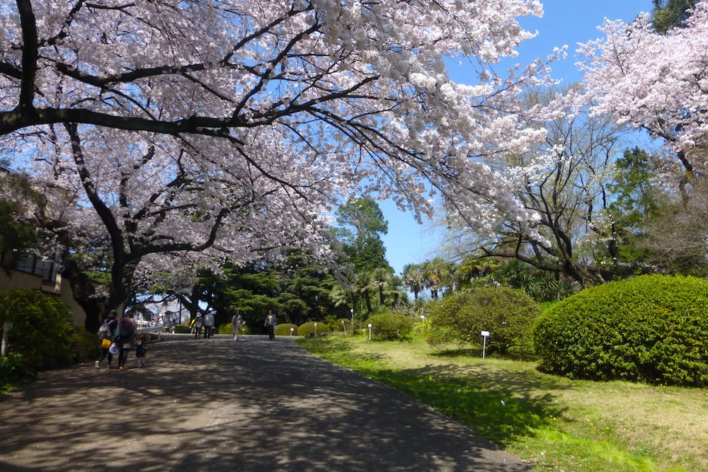 Jardín Botánico Koishikawa